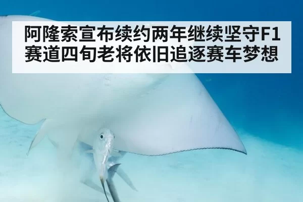阿隆索宣布续约两年继续坚守F1赛道四旬老将依旧追逐赛车梦想